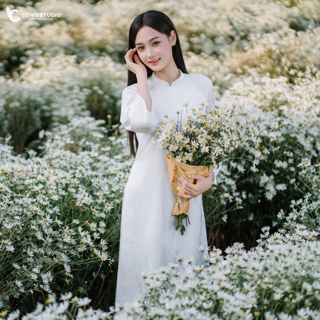 Chụp ảnh cúc họa mi đẹp, uy tín, trọn gói