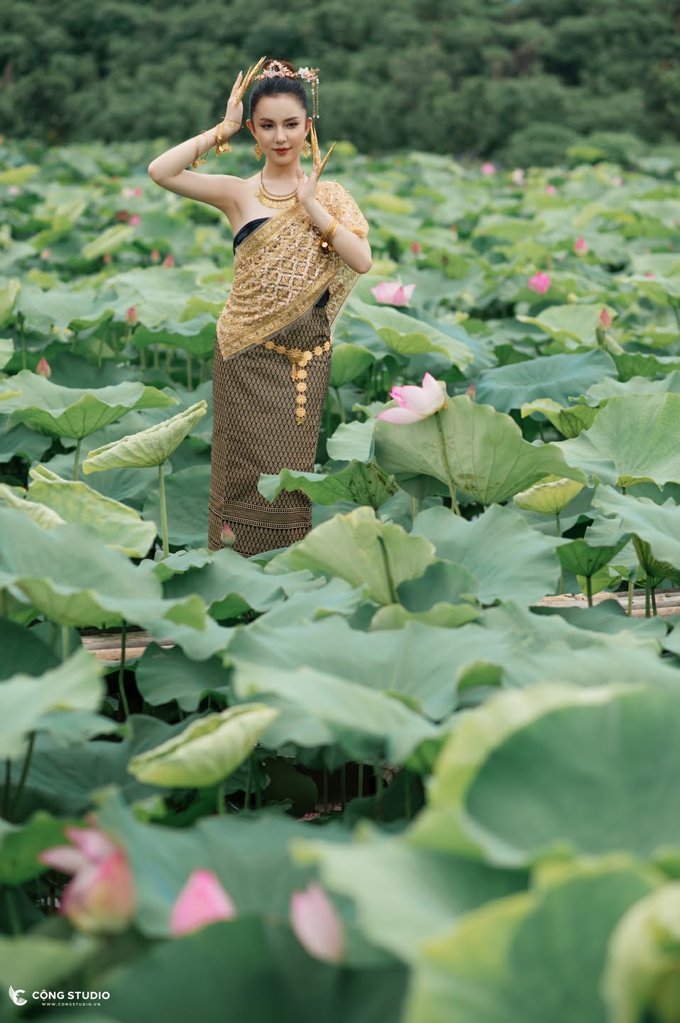 Chụp ảnh sen hồ tây concept thái lan đẹp, chuyên nghiệp, giá rẻ (24)